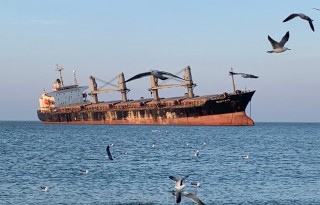 新增公廁！布魯維斯號(hào)周邊配套設(shè)施上新